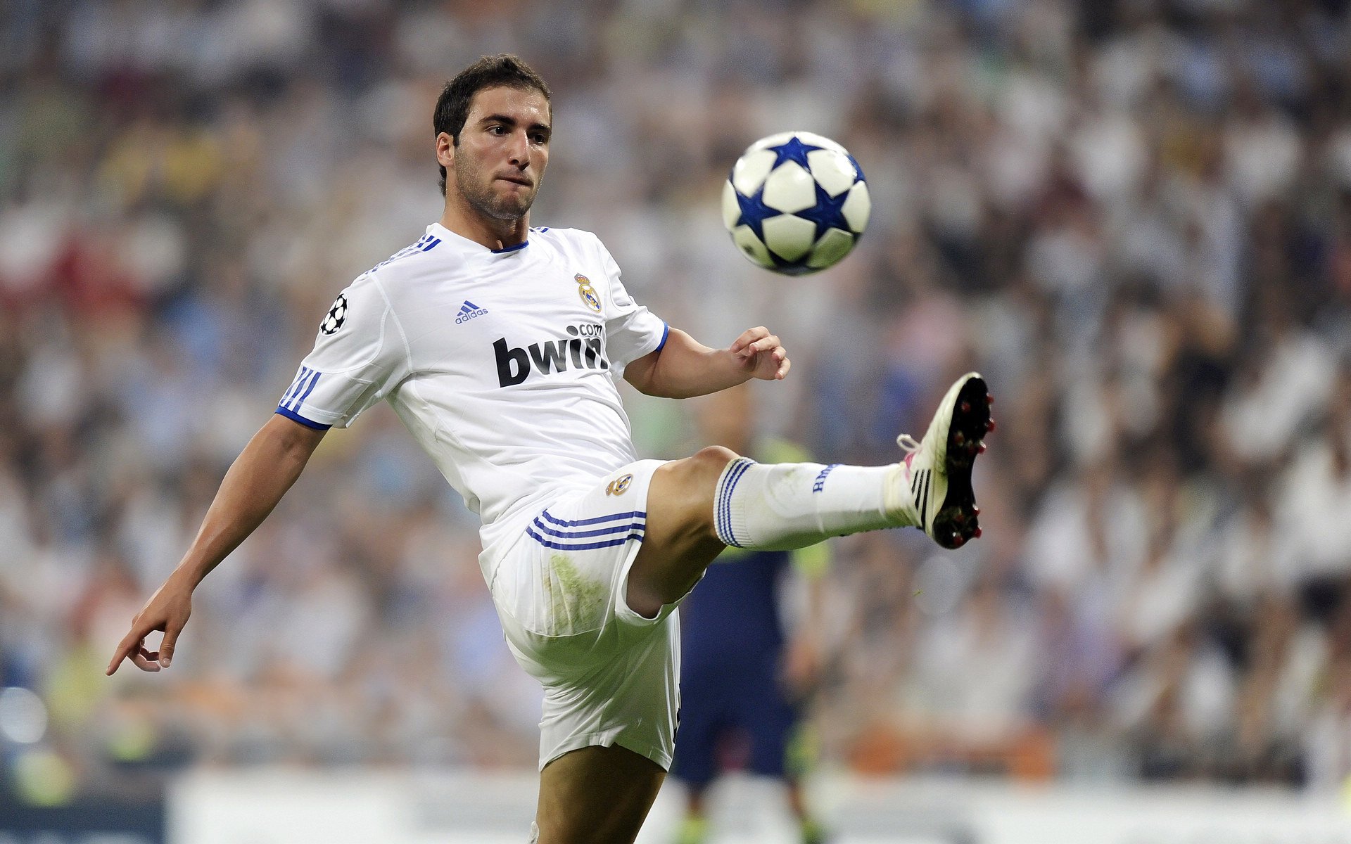 莱万多夫斯基有新变化赛后发声(莱万多夫斯基9分钟5球完整比赛录像)|多宝鱼是海鱼还是淡水鱼